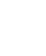seal-1