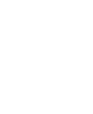 seal-3