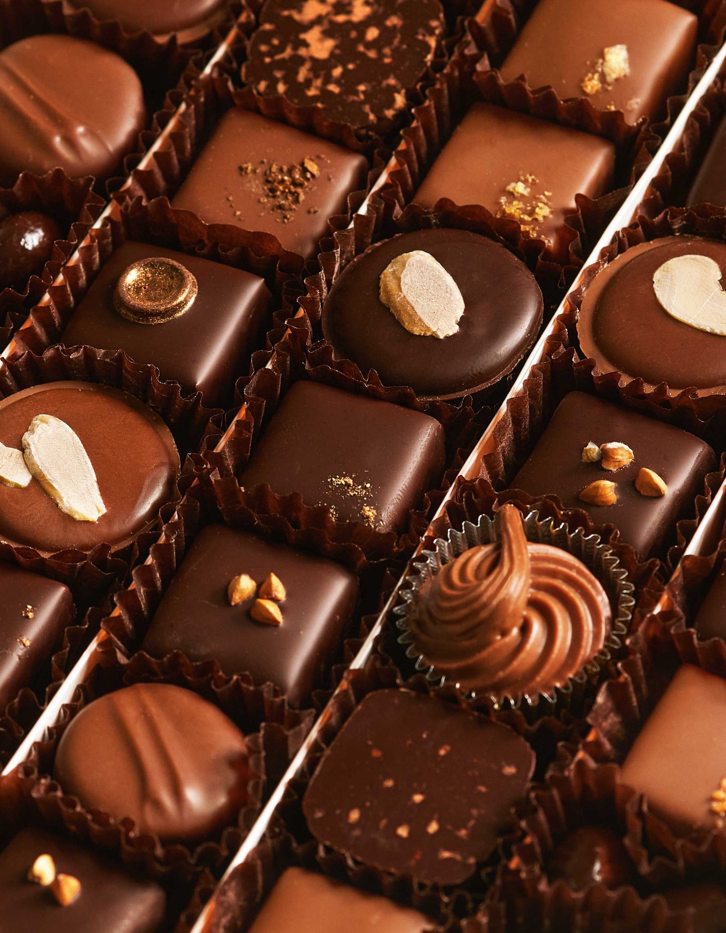Ganaches and Pralinés (66 chocolates)
