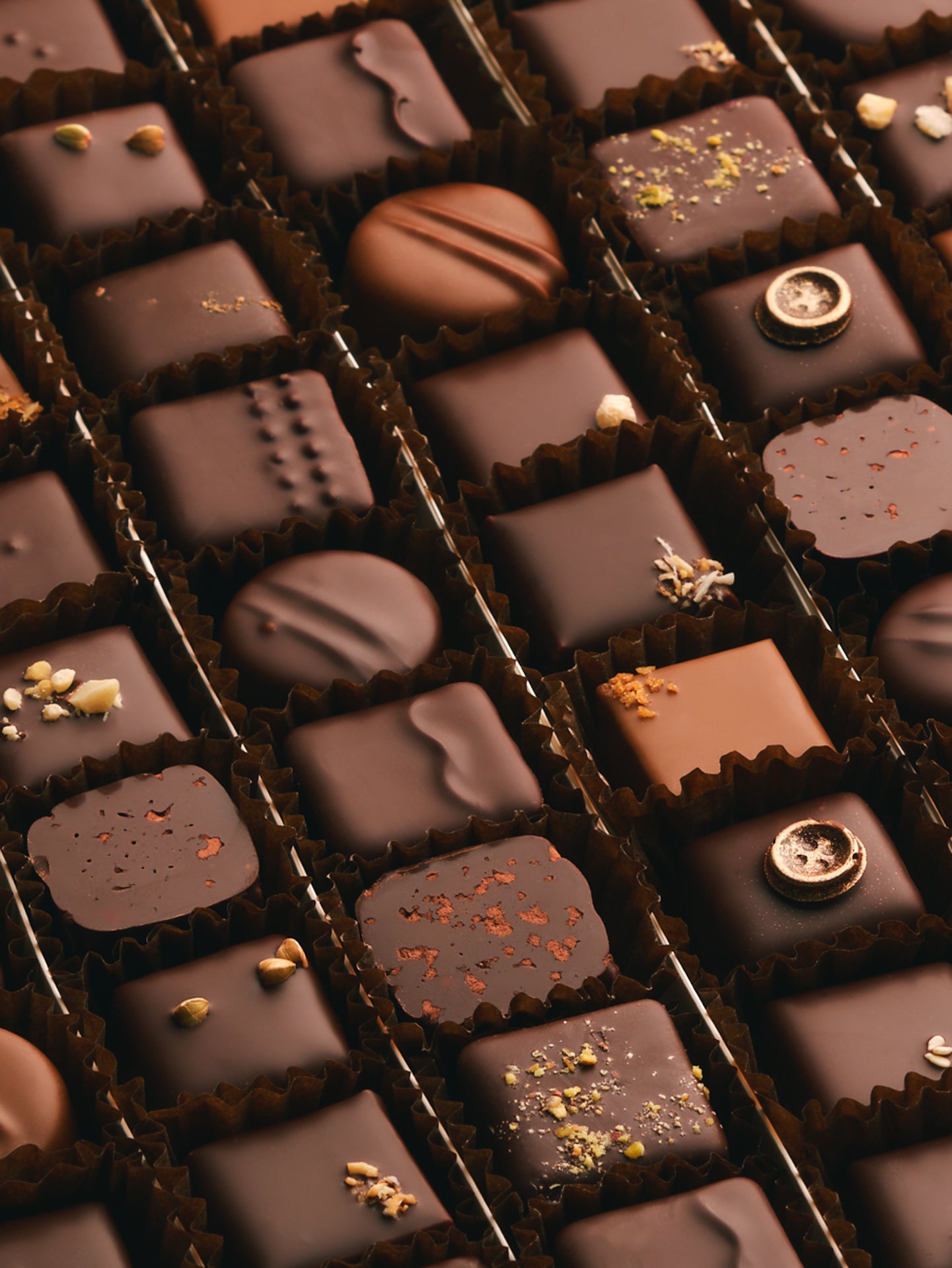 Les Ganaches et Pralinés (54 chocolats)