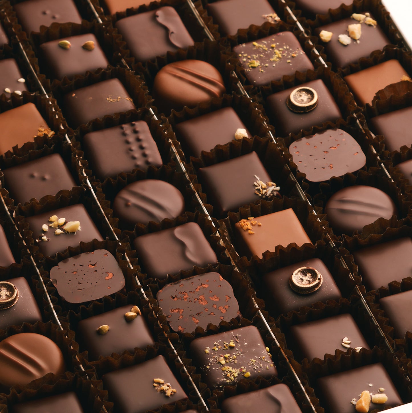 Ganaches and Pralinés (252 chocolates)
