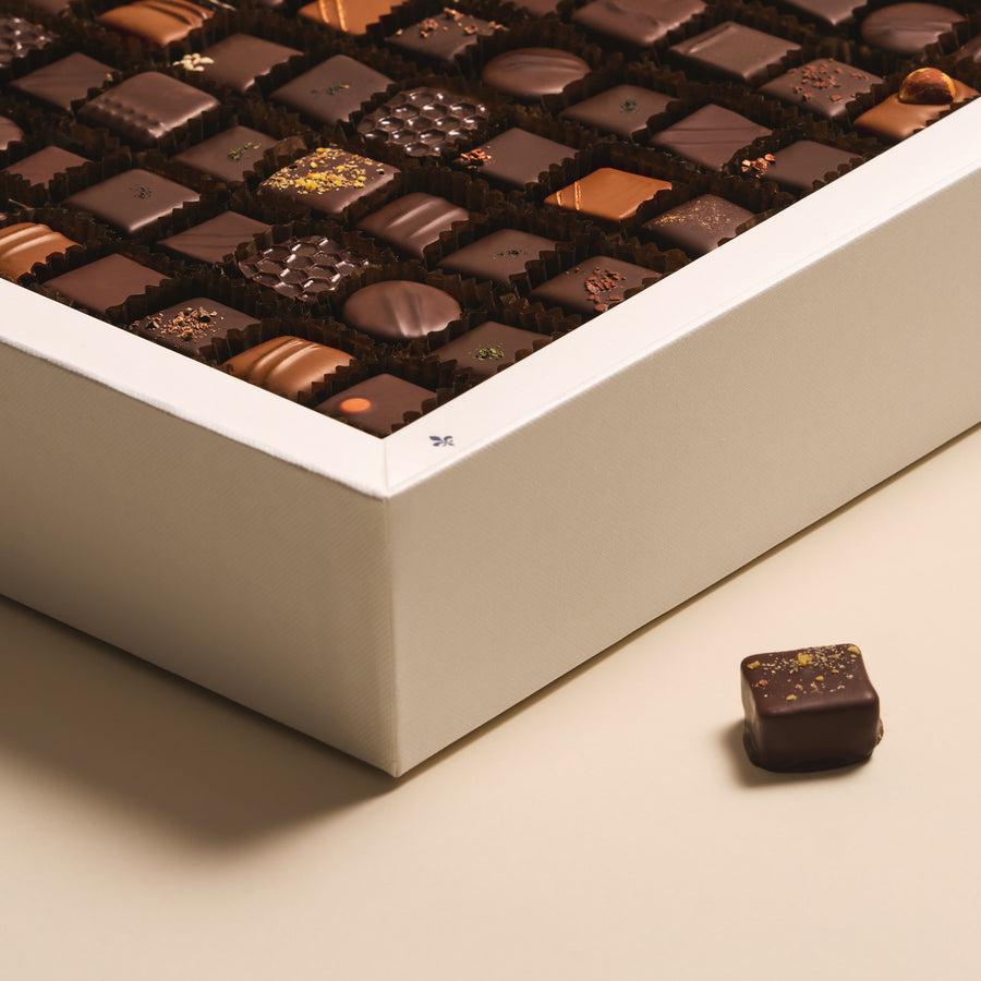 Ganaches and Pralinés (252 chocolates)