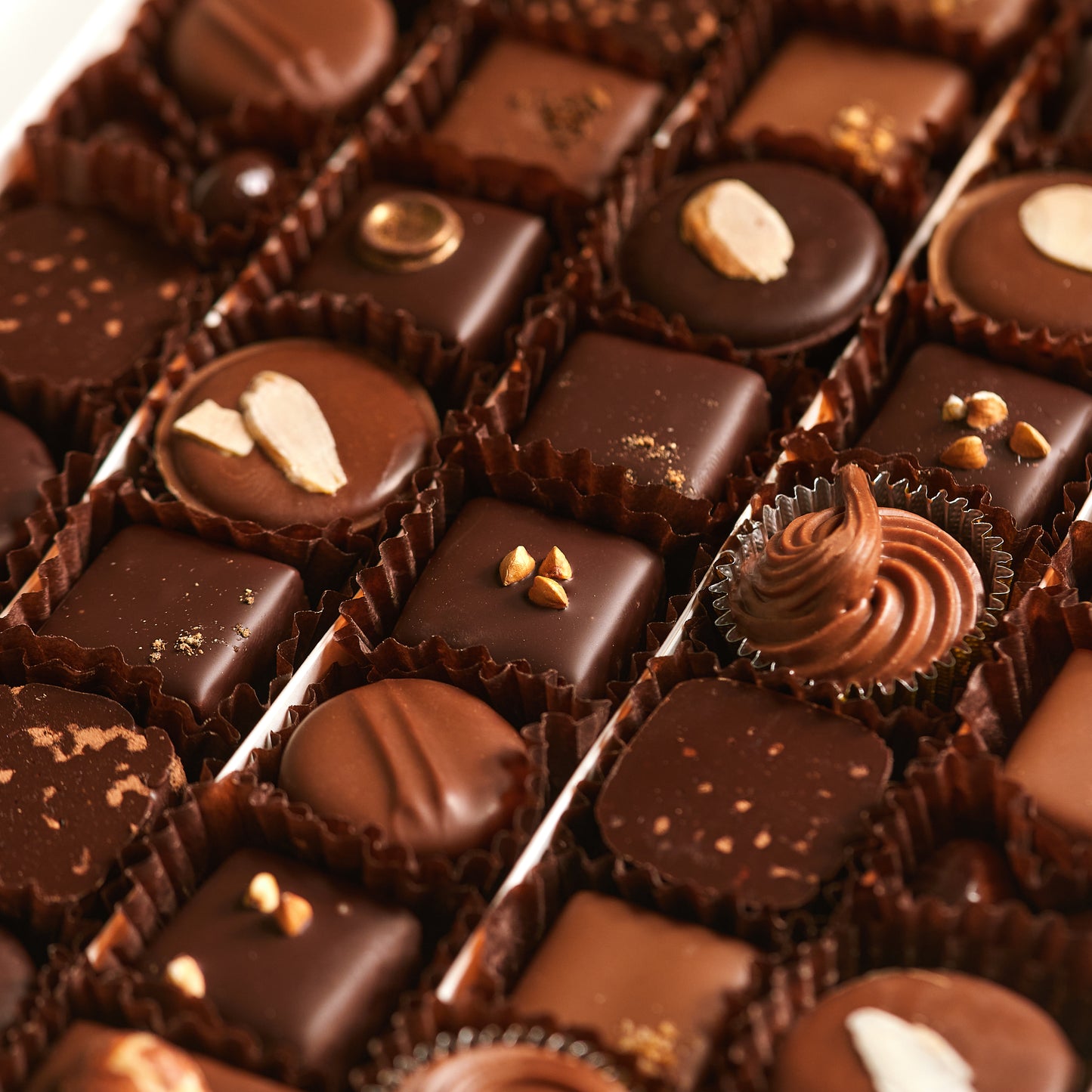 Les chocolats Noirs et Laits (28 chocolats)
