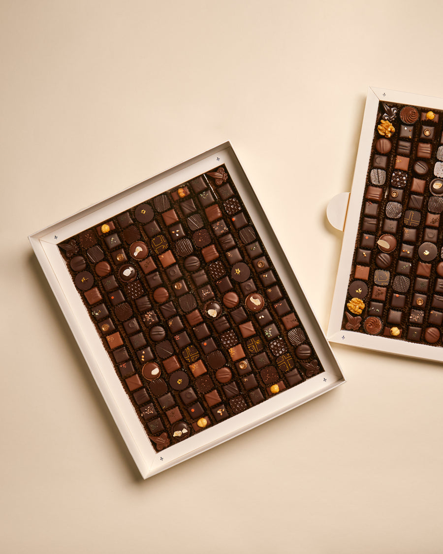 Pralinés chocolates (252 chocolates)